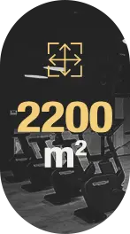 aeliteclub waterloo superficie