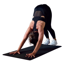 aeliteclub waterloo horaire v2