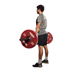 aeliteclub waterloo services v2